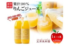 信州産 りんごジュース 1L瓶詰め [2本] 箱入り／ 笠原果樹園 果汁100% りんごジュース リンゴジュース 瓶 長野県産 産地直送 砂糖・食塩・香料不使用 ギフト プレゼント りんご リンゴ 林檎 アップル おすすめ おすすめジュース おすすめりんごジュース おすすめリンゴジュース 信州 長野県 諏訪市 諏訪 【80-02】