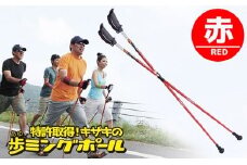 キザキ　歩ミングポール（APAI-202）レッド [№5915-0387]