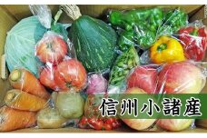 信州小諸　母ちゃんから季節野菜の贈り物 [№5915-0421]