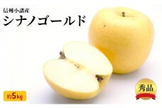 シナノゴールド 秀品 約5kg 長野県産 果物類 林檎 りんご リンゴ フルーツ 小諸市 [№5915-0575]