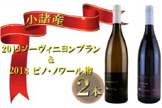 小諸産　 2019ソーヴィニヨンブラン＆2018ピノ・ノワール樽　2本セット [№5915-0717]