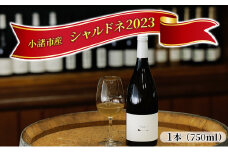 小諸産　2023 シャルドネ 750ml[№5915-0714]