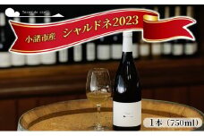 小諸産　2023 シャルドネ 750ml[№5915-0714]
