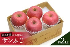信州小諸　松井農園のサンふじ　約2kg 果物類・林檎・りんご・リンゴ[№5915-0806]