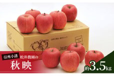 信州小諸　松井農園の秋映　約3.5kg 果物類 林檎 りんご リンゴ[№5915-0807]