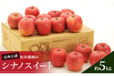 信州小諸　松井農園のシナノスイート　約5kg 果物類・林檎・りんご・リンゴ[№5915-0812]