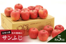 信州小諸　松井農園のサンふじ　約5kg 果物類・林檎・りんご・リンゴ[№5915-0814]