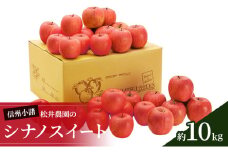 信州小諸　松井農園のシナノスイート　約10kg 果物類・林檎・りんご・リンゴ[№5915-0816]