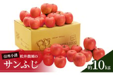 信州小諸　松井農園のサンふじ 約10kg 果物類 林檎 りんご リンゴ[№5915-0818]