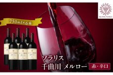 ソラリス 千曲川 メルロー 750ml×6本 [№5915-0883]