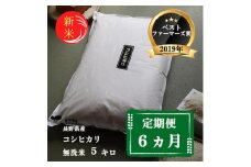 米 定期便 6ヶ月 ベストファーマーズ賞受賞 コシヒカリ 無洗米 5kg 無農薬 無添加 令和7年産 お米 新米 5キロ 6か月 30kg 30キロ 白米 精米 一等米 産地直送 送料無料 長野 定期 6回 [№5915-0875]