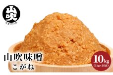 山吹味噌　こがね　10kg [№5915-0938]
