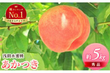 ふるさと納税 2025年発送 浅間水蜜桃 もも あかつき 秀品 約5kg 長野県産 小諸市 桃 果物 フルーツ モモ 果肉  [№5915-0977]