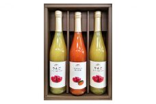 信州浅間ファーム・100％ジュース 3本セット（各500ml） [№5915-1010]