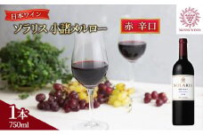 日本ワイン ソラリス 小諸 メルロー 750ml×1本 ワイン 赤ワイン マンズワイン 酒 お酒 洋酒 果実酒 ぶどう酒 長野 長野県小諸市  [№5915-1031]