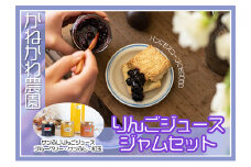 りんごジュース・ジャムセット [№5915-1085]