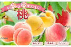 桃 約5kg 3種お任せ あかつき なつっこ 黄金桃 果物 もも 3種類 白桃 黄桃 産地直送 長野県 小諸市[№5915-1114]