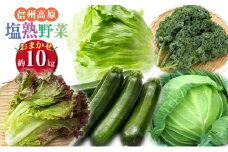 信州高原塩熟野菜 約10kg お任せ[№5915-1123]