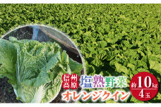 信州高原塩熟野菜（オレンジクイン）約10kg 4玉[№5915-1124]