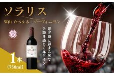 ソラリス 東山カベルネ・ソーヴィニヨン  750ml×1本 赤ワイン お酒 ぶどう酒 晩酌 おうちディナー 飲み物 家飲み 宅飲み スパイス ロースト香 果実味 酸味 タンニン [№5915-1130]