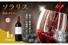 ソラリス 東山メルロー  750ml×1本 赤ワイン お酒 ぶどう酒 晩酌 おうちディナー 飲み物 家飲み 宅飲み 果実香 複雑 おだやかな酸味 タンニン [№5915-1131]