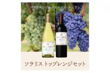 ソラリス トップレンジセット ワインセット ワイン 赤ワイン 白ワイン シャルドネ メルロー 果実味 酸味 トースト香 スパイス 果実味 タンニン[№5915-1133]