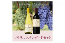 ソラリス スタンダードセット ワインセット ワイン 赤ワイン 白ワイン フレッシュ 果実香 ほどよい酸味 アロマ 果実味 タンニン[№5915-1134]