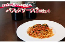 『暖』の素材から手作りパスタソース3種セット [№5915-1209]