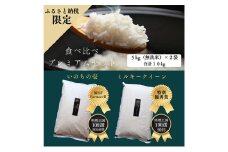 新米 ミルキークイーン いのちの壱 食べ比べ セット 無洗米 10kg ( 5kg ×2袋) 無農薬 無添加 令和7年産 米 お米 5キロ 10キロ お試し 白米 精米 一等米 産地直送 こめ おこめ コシヒカリ 送料無料 長野 長野県 小諸市 [№5915-1241]