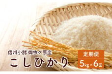 信州小諸 御牧ケ原産こしひかり定期便（5kg×6回） [№5915-1258]