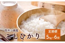 信州小諸産こしひかり定期便（5kg×6回） [№5915-1259]