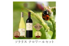 テロワールセット(紅白セット)  ワイン お酒 赤ワイン 白ワイン ワインセット 果実味 しっかりしたタンニン[№5915-1275]