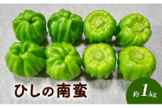 ひしの南蛮 約1kg[№5915-1301]