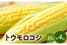 トウモロコシ（味来）10本　約4kg 野菜 コーン 甘い 生でも食べられる 食材 国産 国産野菜 グルメ [№5915-1302]