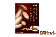 ホクトのエリンギまるごと使った菌活・贅沢カレー 5個セット[№5915-1309]