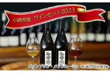 ワイン2本セット 赤ワイン 白ワイン お酒 酒 アルコール 長野県 小諸市 小諸 ギフト プレゼント [№5915-1320]