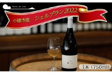ワイン 2022シェルブラン 白ワイン お酒 酒 アルコール 長野県 小諸市 小諸 ギフト プレゼント [№5915-1321]