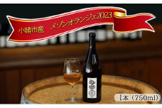 ワイン 2023メゾンオランジェ 白ワイン お酒 酒 アルコール 長野県 小諸市 小諸 ギフト プレゼント [№5915-1322]