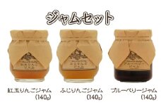 ジャム【ジャムセット】りんご リンゴ りんごジャム 紅玉 ふじ ブルーベリージャム フルーツジャム 完熟 アップル 果物 ペースト トッピング  トースト ヨーグルト 信州 長野[№5915-1343]