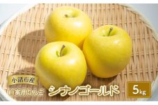 りんご【自家用りんご シナノゴールド 5kg】信州りんご リンゴ 林檎 果物 くだもの フルーツ 信州 長野[№5915-1346]