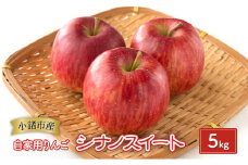 りんご【自家用りんご シナノスイート 5kg】信州りんご リンゴ 林檎 果物 くだもの フルーツ 信州 長野[№5915-1348]