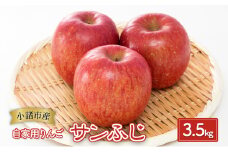 りんご【自家用りんご サンふじ 3.5kg】信州りんご リンゴ 林檎 果物 くだもの フルーツ 信州 長野[№5915-1349]