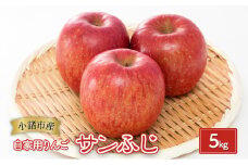 りんご【自家用りんご サンふじ 5kg】信州りんご リンゴ 林檎 果物 くだもの フルーツ 信州 長野[№5915-1350]