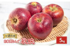 りんご【自家用りんご 秋映 5kg】信州りんご リンゴ 林檎 果物 くだもの フルーツ 信州 長野[№5915-1352]