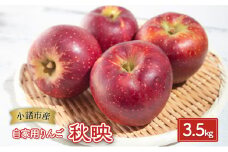 りんご【自家用りんご 秋映 3.5kg】信州りんご リンゴ 林檎 果物 くだもの フルーツ 信州 長野[№5915-1351]