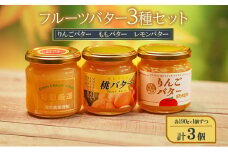 フルーツバター3種セット（りんごバター、ももバター、レモンバター）各190g×1個ずつ 計3個 ジャム スプレッド ヨーグルト パン デザート スイーツ 朝食[№5915-1416]