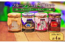 フルーツジャム4種セット（杏、ブルーベリー、いちじく、巨峰）各150g×1個ずつ 計4個 ジャム スプレッド ヨーグルト パン デザート スイーツ 朝食[№5915-1421]
