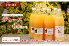 信州小諸産　ジュース6本セット（シナノドルチェ・シナノリップ・もも　各1000ml×2本ずつ）ストレートジュース 小諸市 ギフト[№5915-1433]