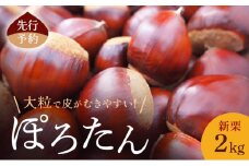 【先行予約】皮がむきやすい！新栗2kg(ぽろたん)小諸市 栗 お取り寄せ[№5915-1438]
