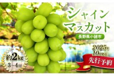 【先行予約／2025年10月発送】シャインマスカット約2kg 3～4房 重量保証 信州 小諸 果物 フルーツ ぶどう ブドウ 種無し 甘い 完熟 季節限定 贈答用 大粒 産地直送 新鮮 お取り寄せ こだわり ギフト [№5915-1468]